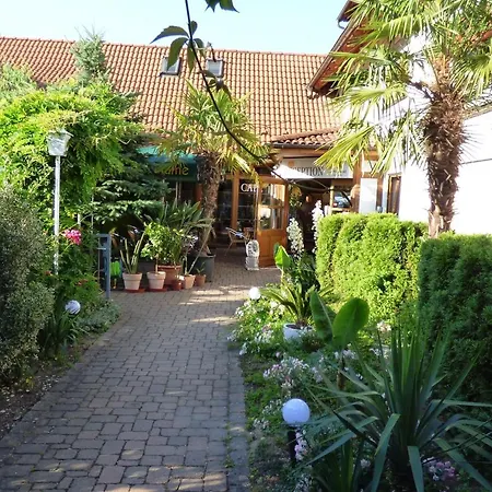 Blume Φράιμπουργκ