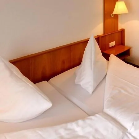 Blume 호텔 프라이부르크 임 브리스가우