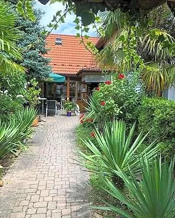 Blume Otel Freiburg im Breisgau