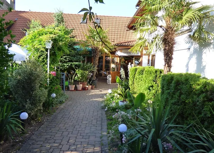 Blume Freiburg im Breisgau